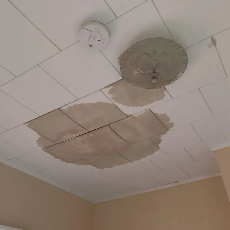 Ceiling Water Damage Repair in Tornado, WV