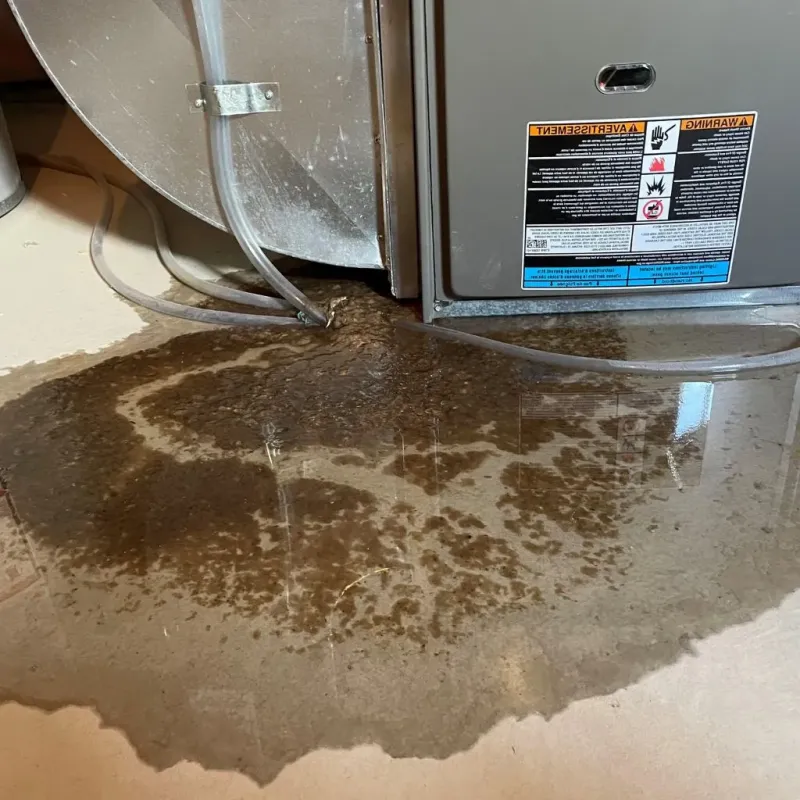 Pipe Burst and Leak Restoration in Tornado, WV