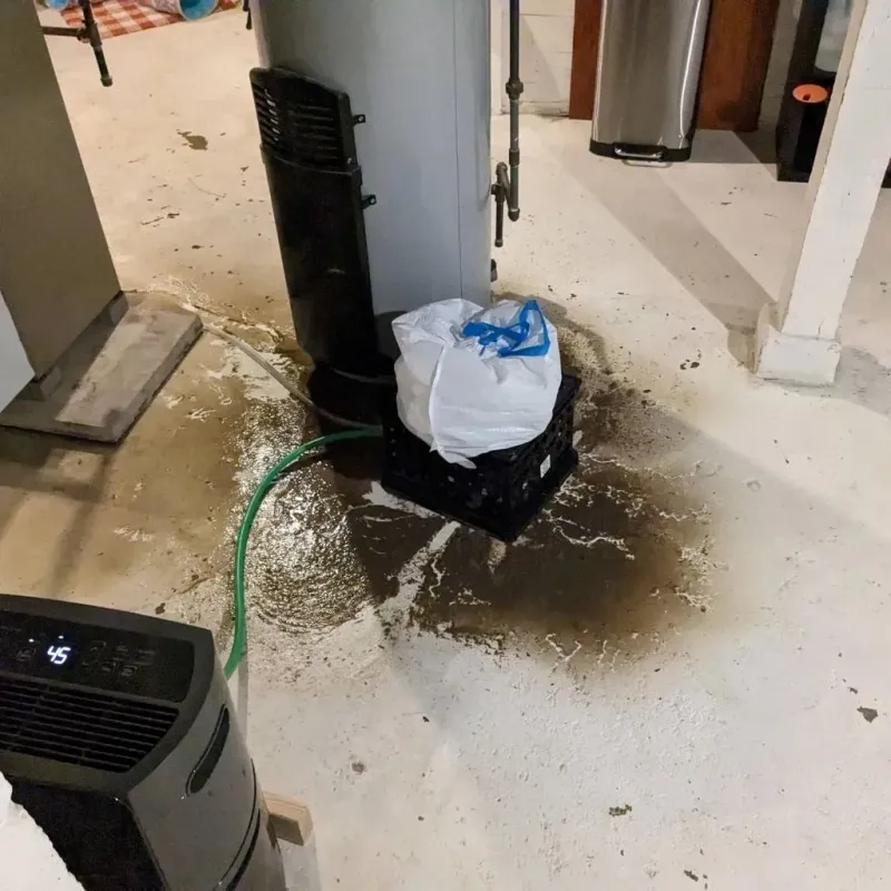Sewage Backup Cleanup Service in Tornado, WV